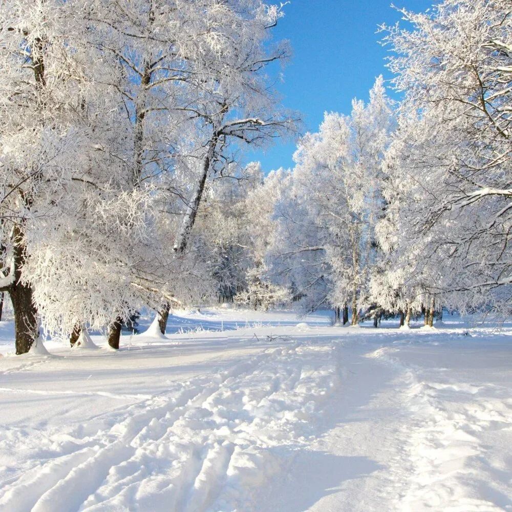 Attention Buyers   Updated on shipping as I live in NC and in middle of Snow